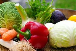 Osteoporosi: il rischio aumenta se si consumano alimenti pro-infiammatori